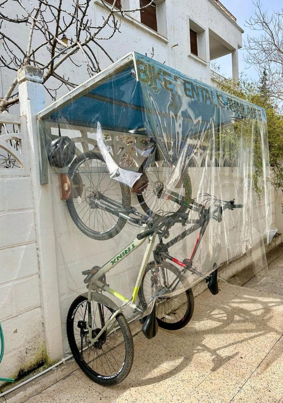 Nomads Tunisia Hostel *