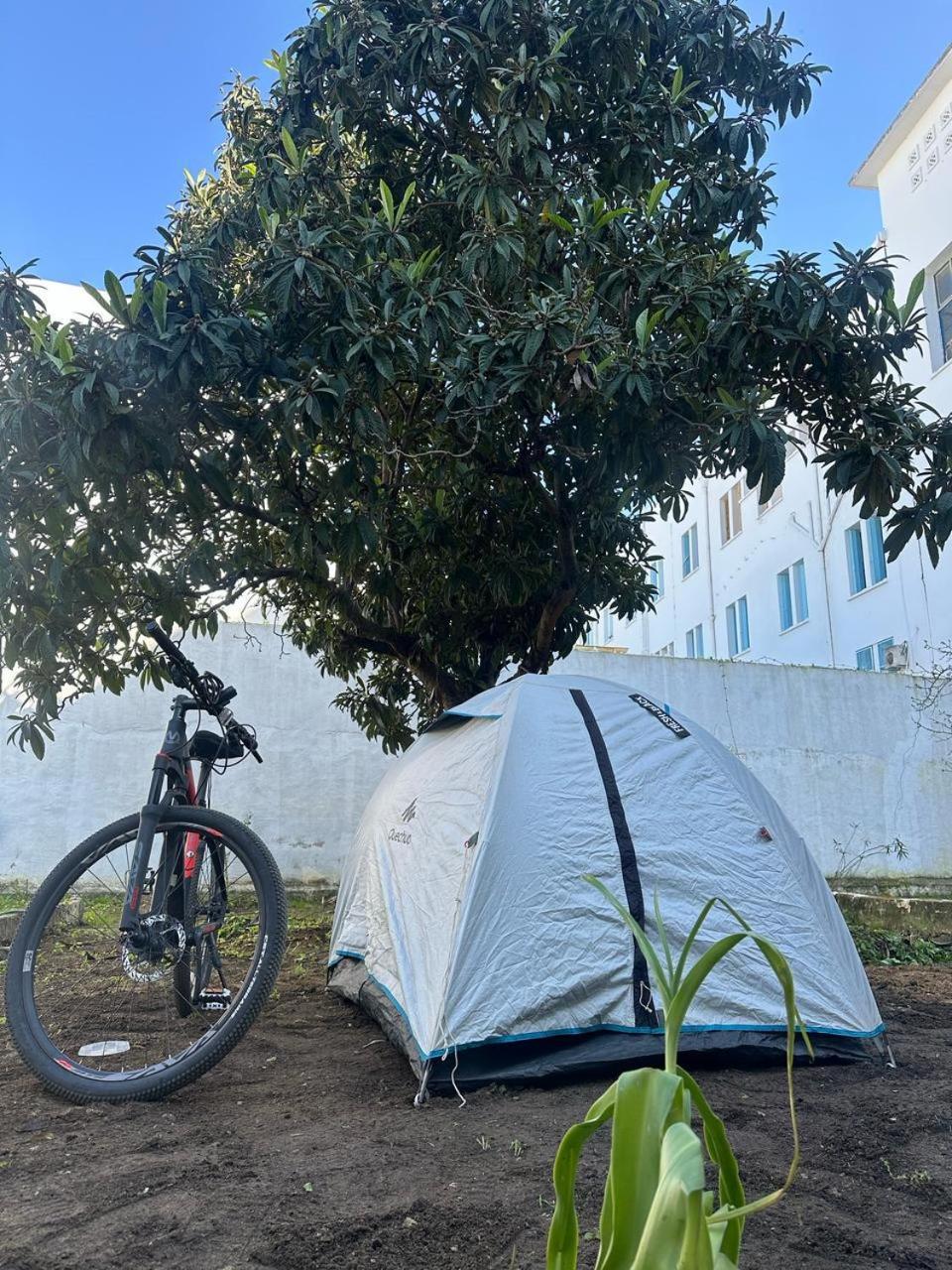 Hostel Nomads Tunisia Tunis