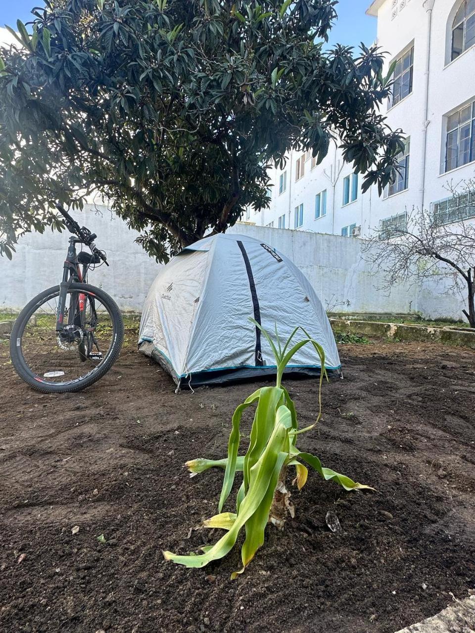 Nomads Tunisia Hostel *