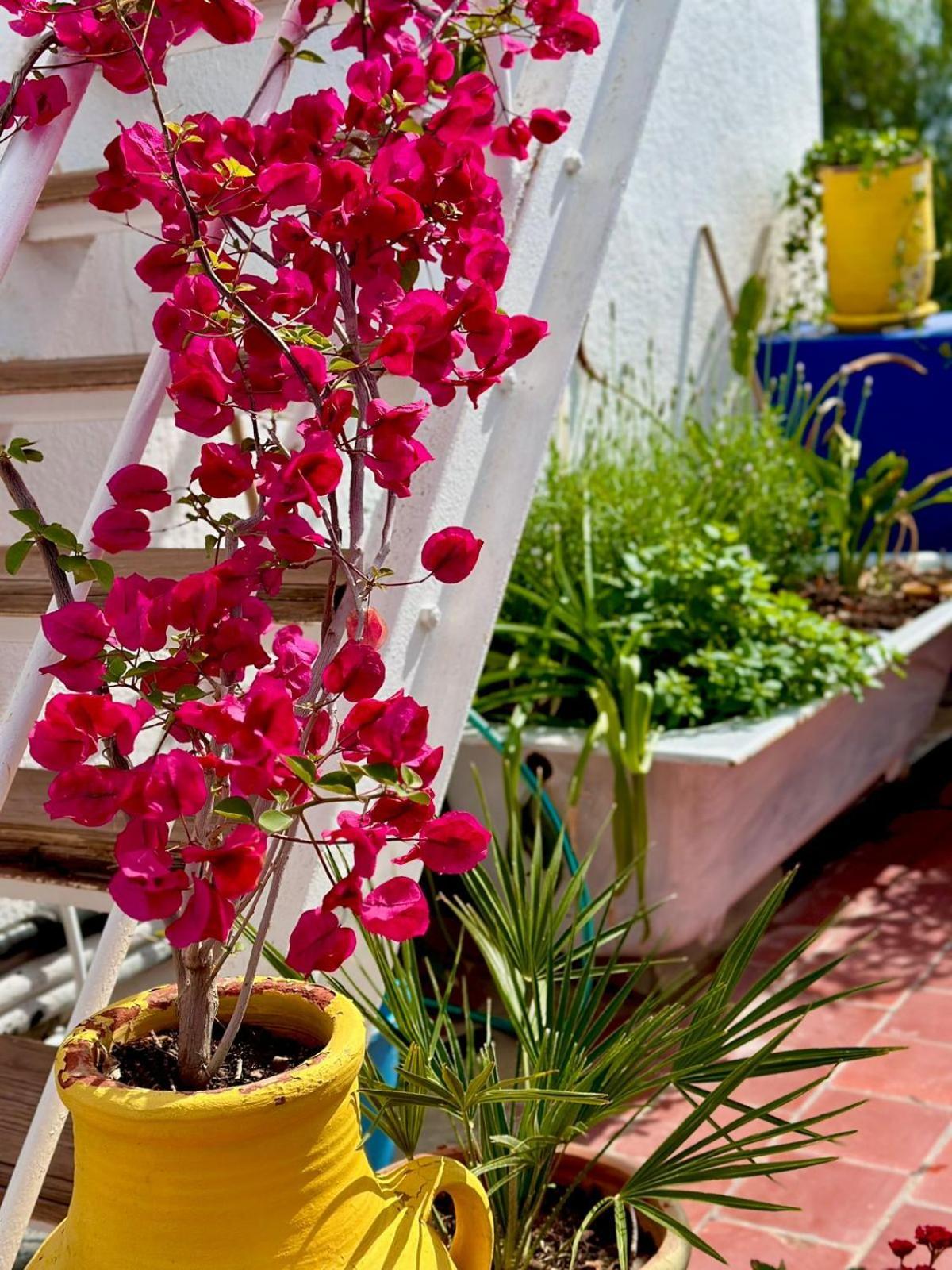 Nomads Tunisia Hostel *